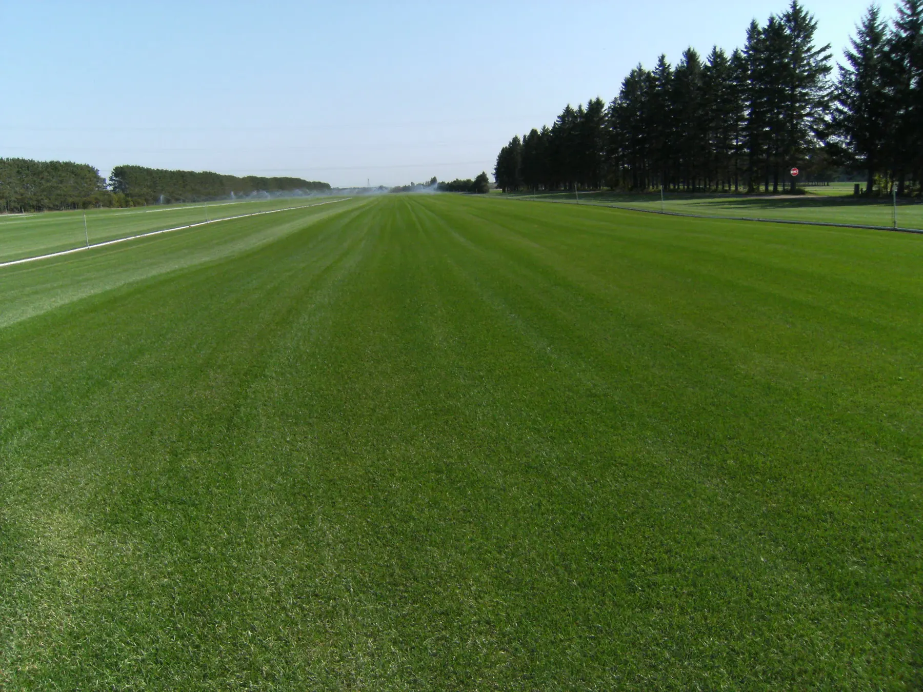 Tourbe de qualité commerciale · terrains de golf et de soccer